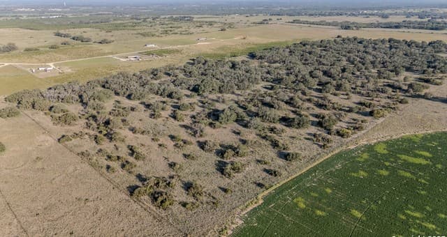 rental at 250 Private Road 6620 in Devine, TX — photo 2
