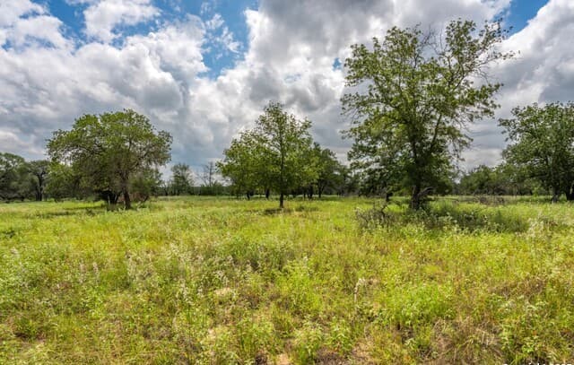 rental at 330 S Encino Crossing in Natalia, TX — photo 2