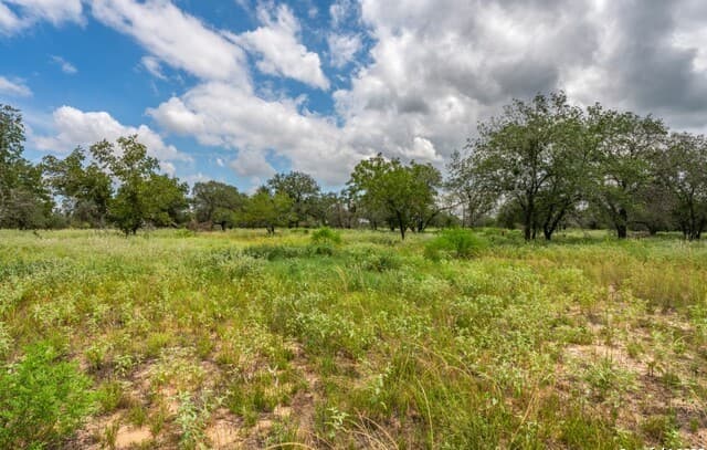 rental at 330 S Encino Crossing in Natalia, TX — photo 4