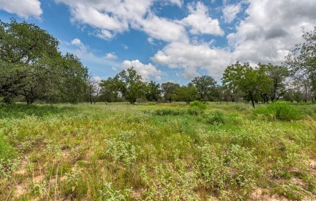 rental at 330 S Encino Crossing in Natalia, TX — photo 5