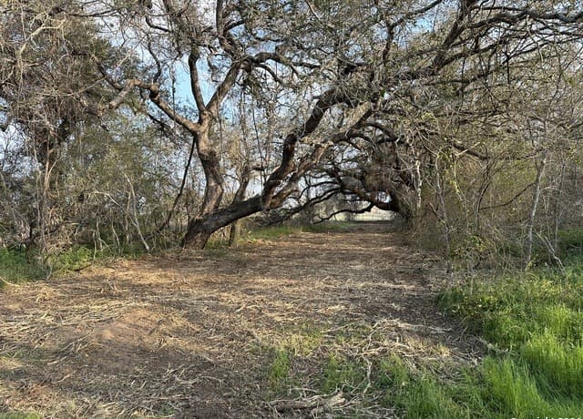 rental at 126 S Tejeda Ln in Floresville, TX — photo 1