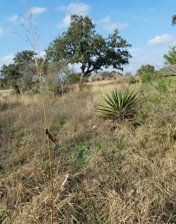 rental at LOT 102 PR 3702 Pr 3702 in San Antonio, TX — photo 1