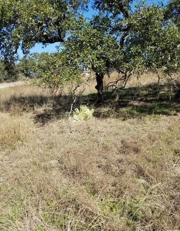 rental at LOT 102 PR 3702 Pr 3702 in San Antonio, TX — photo 3
