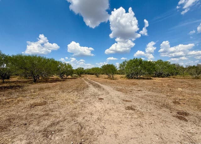 rental at TBD15+/- ACRES County Road 157 in Kenedy, TX — photo 1
