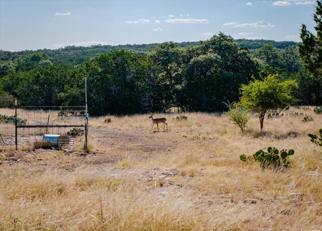 rental at 510 Pr 2535 in Mico, TX — photo 2