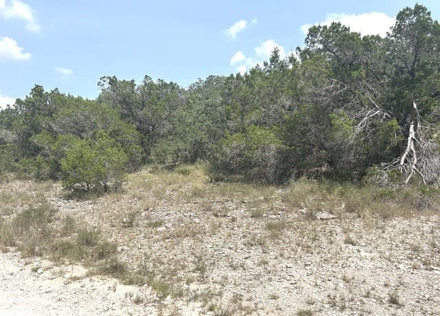 rental at 16 Contour Dr in Spring Branch, TX — photo 2