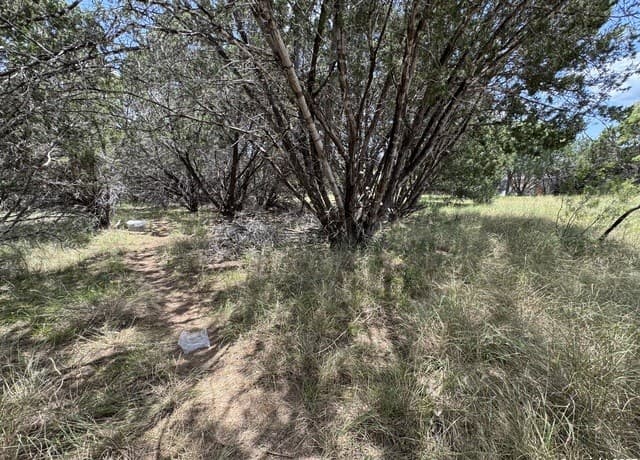 rental at 0 Nacona Dr in Bandera, TX — photo 2