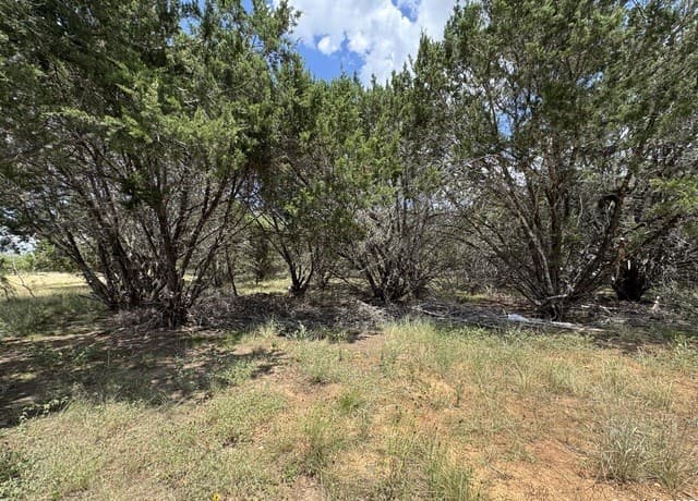rental at 0 Nacona Dr in Bandera, TX — photo 3