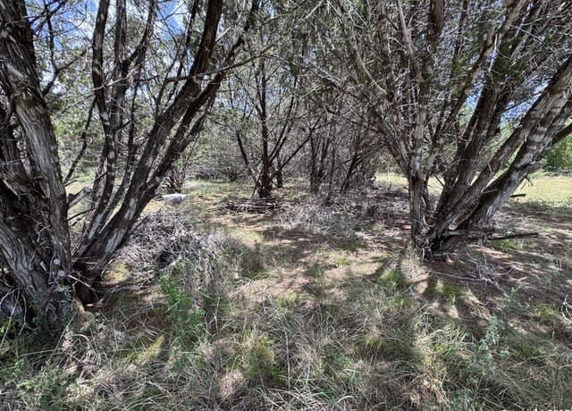 rental at 0 Nacona Dr in Bandera, TX — photo 4