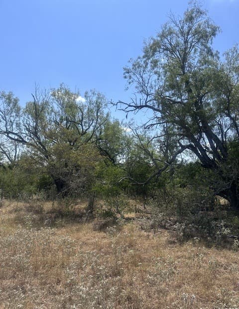 rental at 6032 (LOT 9) Cr 405 in Floresville, TX — photo 3