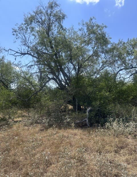 rental at 6032 (LOT 9) Cr 405 in Floresville, TX — photo 4