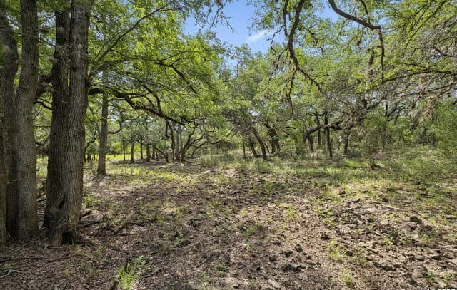 rental at 547 County Road 3401 in Hondo, TX — photo 1