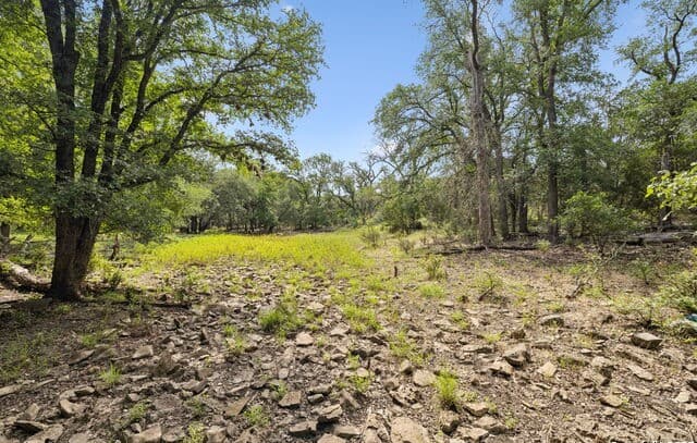 rental at 547 County Road 3401 in Hondo, TX — photo 2