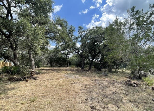 home for sale at 161 Sunnyside in Spring Branch TX
