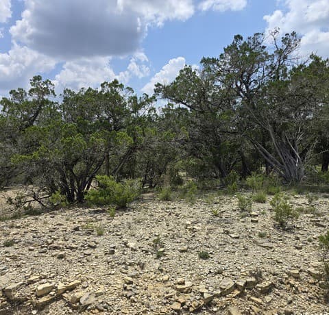 rental at LOT 18 Pecos Rd in Lakehills, TX — photo 2