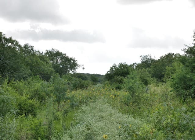 rental at TRACT 7 TBD Cr 208 in Hobson, TX — photo 3