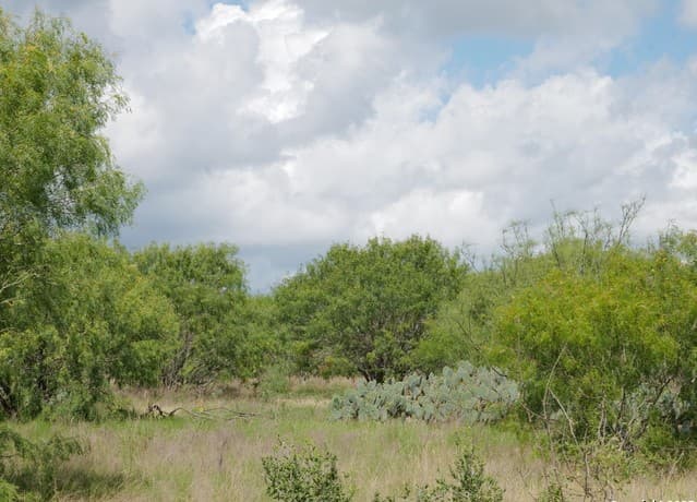 rental at TRACT 7 TBD Cr 208 in Hobson, TX — photo 5
