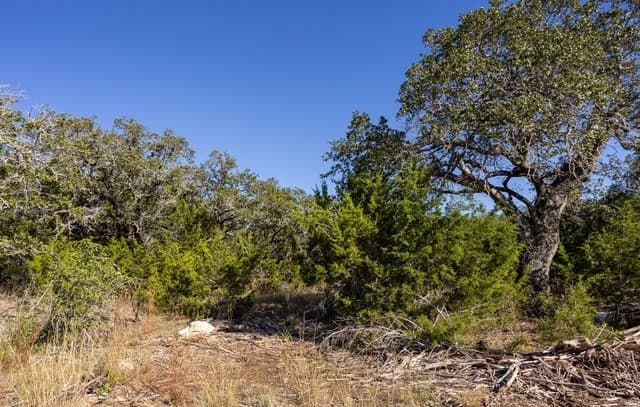 rental at LOT 11 Wainright Springs in Boerne, TX — photo 3