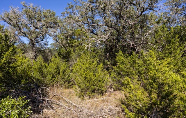 rental at LOT 11 Wainright Springs in Boerne, TX — photo 4