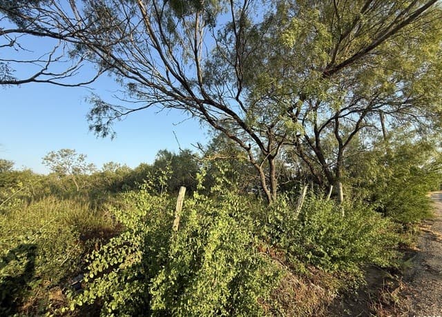 rental at 15875 Luckey in Atascosa, TX — photo 4