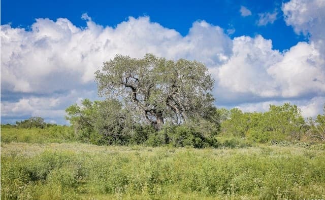 rental at 10454 S Foster Rd in San Antonio, TX — photo 4