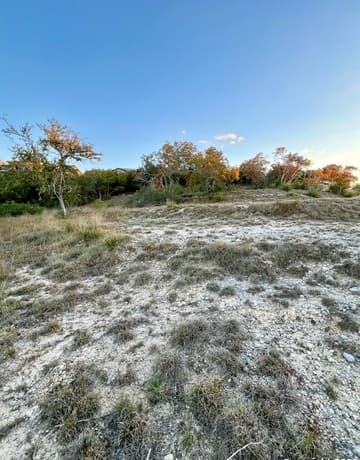 rental at 000 Carson Spgs in San Antonio, TX — photo 4