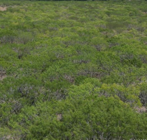 rental at 0 Fm 2049 in Three Rivers, TX — photo 2