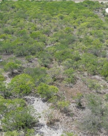 rental at 0 Fm 2049 in Three Rivers, TX — photo 3