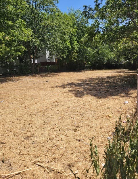 rental at 220 Idaho in San Antonio, TX — photo 5