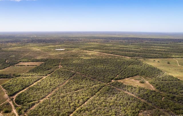 rental at 10 FM 1581 in Pearsall, TX — photo 2