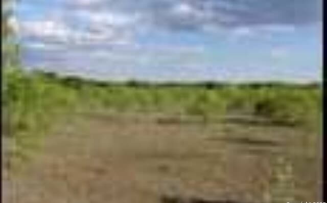 rental at 245 County Road 356 in Utopia, TX — photo 1