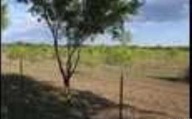 rental at 245 County Road 356 in Utopia, TX — photo 4