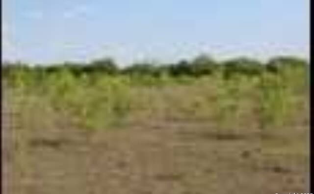rental at 245 County Road 356 in Utopia, TX — photo 5