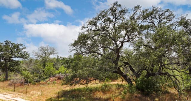 rental at 752 PR Sunset Vista Dr Lot 92 in Somerset, TX — photo 2