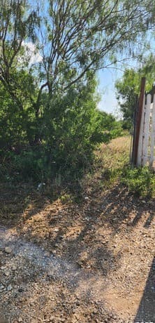 rental at 6834 Calle Briseno in San Antonio, TX — photo 3