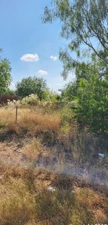 rental at 6834 Calle Briseno in San Antonio, TX — photo 4
