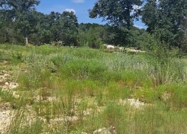 rental at 1064 Ken Wayne in Spring Branch, TX — photo 3
