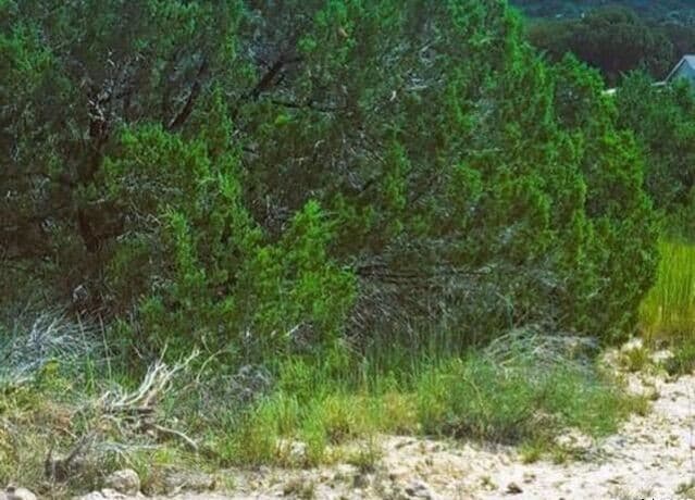 home for sale at 00 ken Wayne in Spring Branch TX