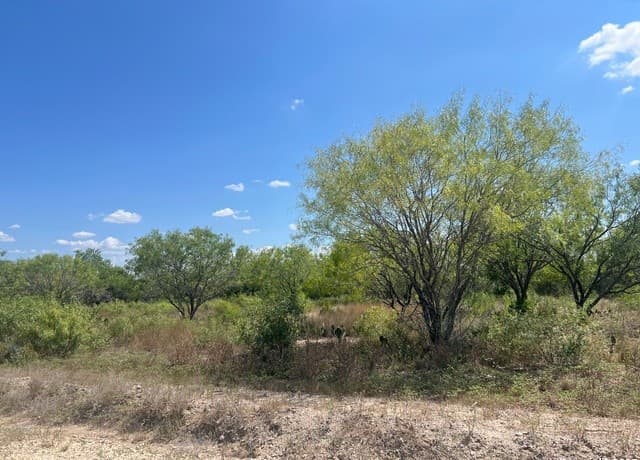 rental at 760 Cr 200 in Three Rivers, TX — photo 1