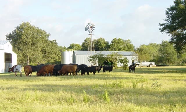 rental at 1700 Bruce in Poteet, TX — photo 1