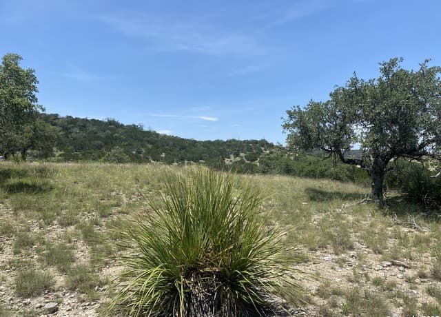 rental at 208 Saddle Wood in Comfort, TX — photo 4