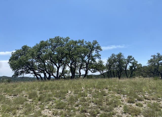 rental at 208 Saddle Wood in Comfort, TX — photo 5