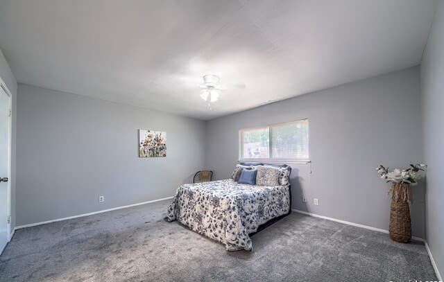 3-bedroom rental at 3409 Morning Dr in Schertz, TX — photo 4