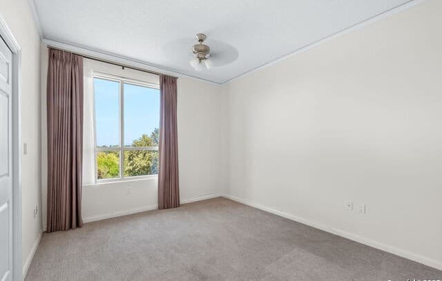 2-bedroom rental at 1 Towers Park Ln Unit 402 in San Antonio, TX — photo 5