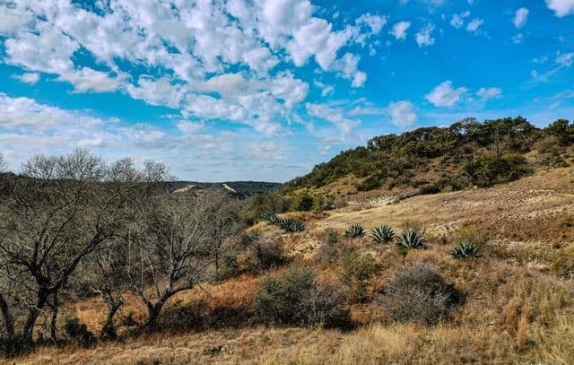 rental at 90 Vista Real in Boerne, TX — photo 5