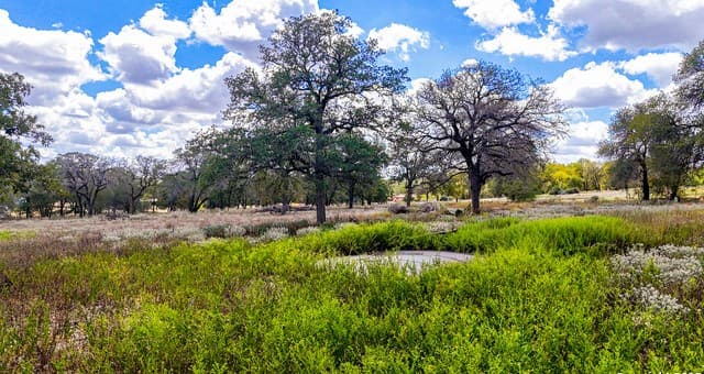 rental at 141 Oak Hill in La Vernia, TX — photo 1