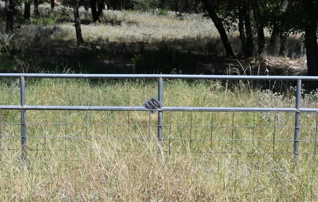 rental at TBD LOT 140 E Cr 6868 in Natalia, TX — photo 2