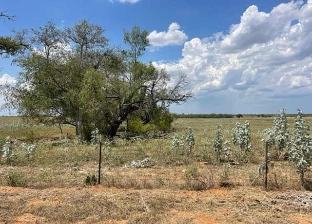 rental at 655 County Road 232 in Floresville, TX — photo 1