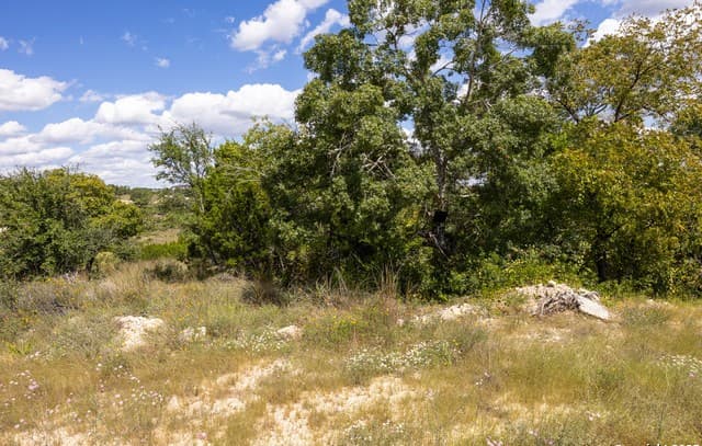 rental at 11317 Sloanes Ridge in San Antonio, TX — photo 5