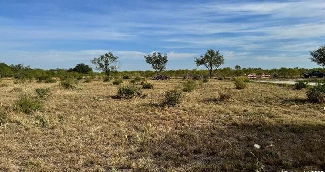 rental at 295 Lobo in Hondo, TX — photo 2